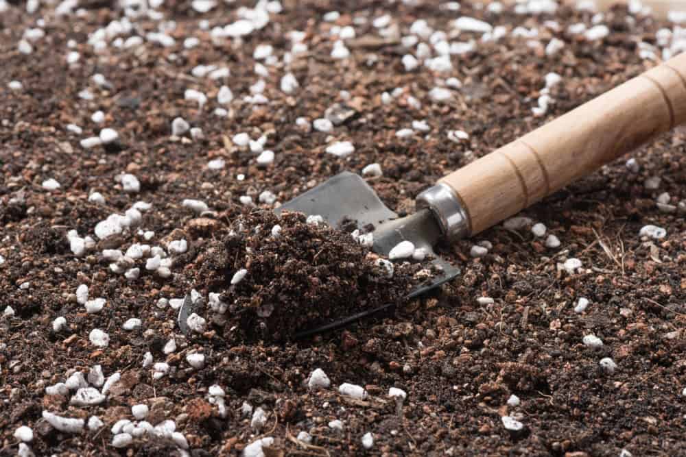 What is Perlite and Why is it Popular?