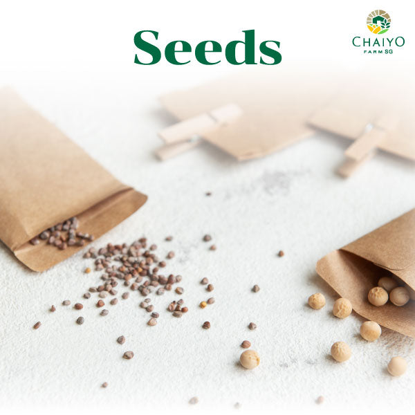 NON-GMO Seeds
