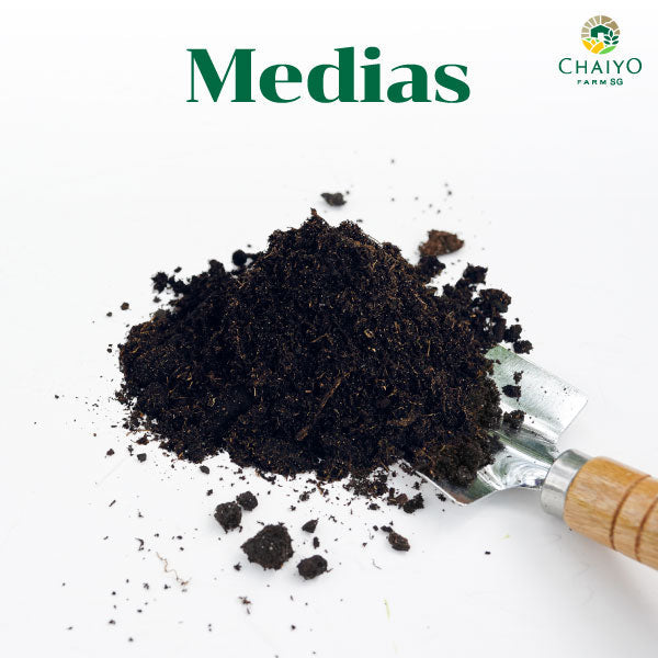 Potting Medias