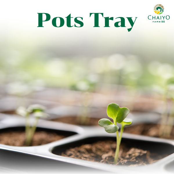 Gardening Accessories