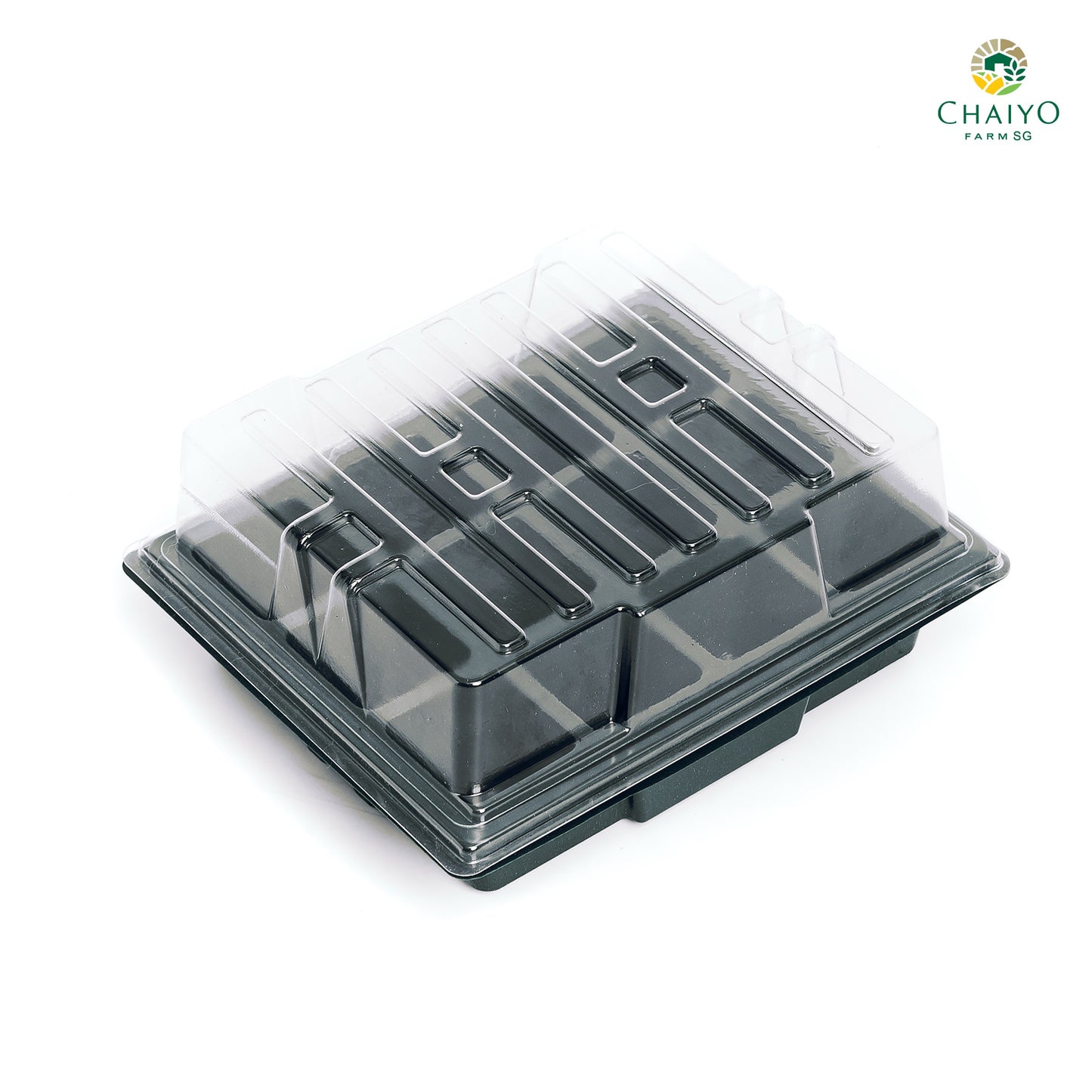 Seeding tray with cover 12, 24 holes (Green, Green)