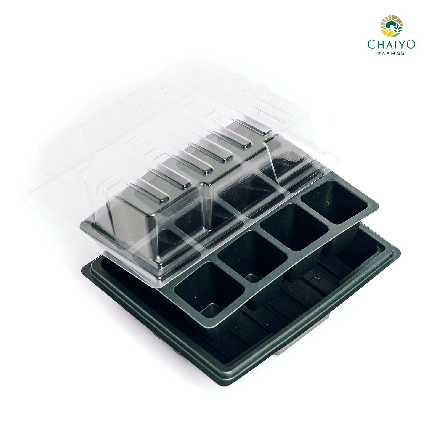 Seeding tray with cover 12, 24 holes (Green, Green)