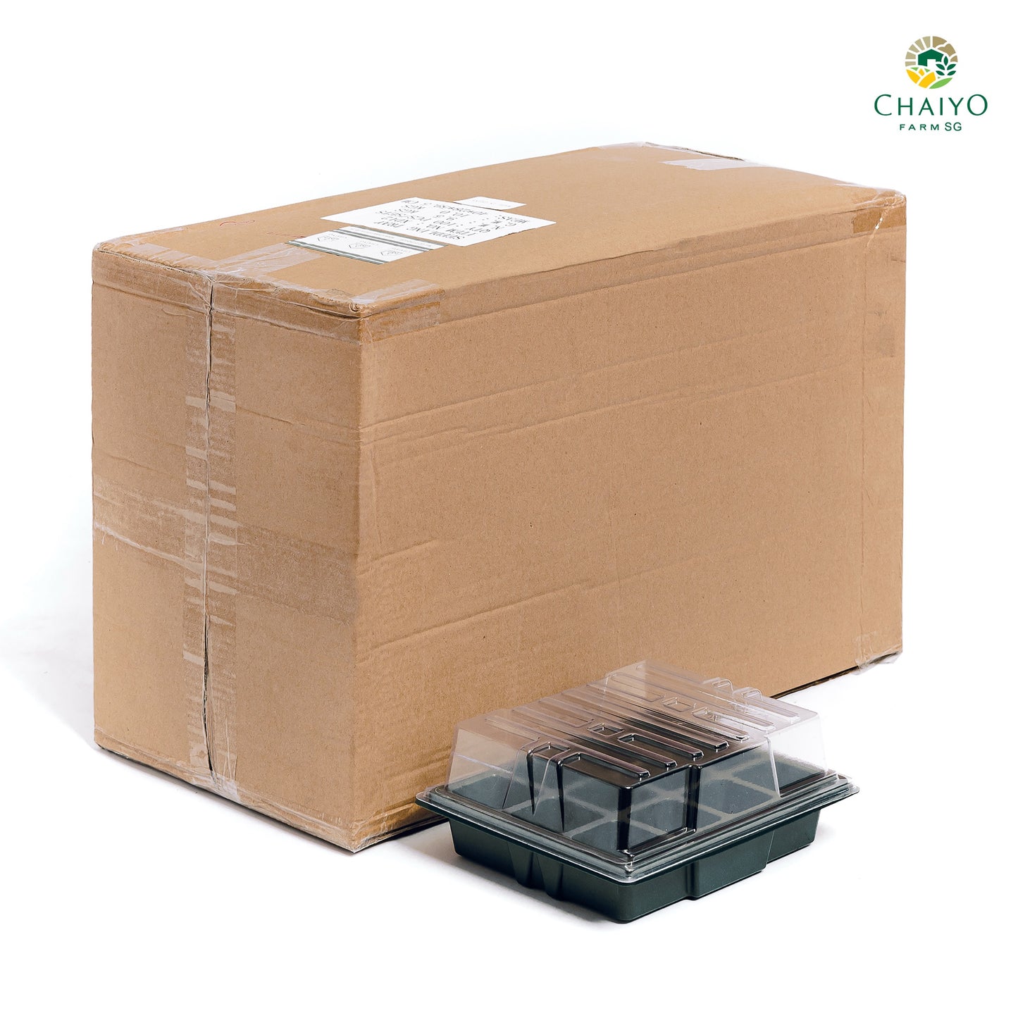 Seeding tray with cover 12, 24 holes (Green, Green)