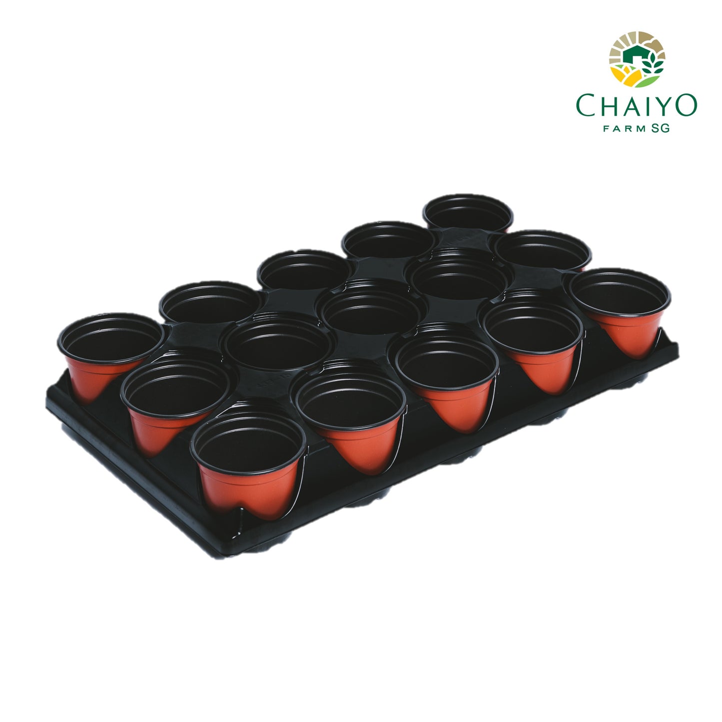 Plastic pot 10 cm 15 pcs/pack (Brown, White)