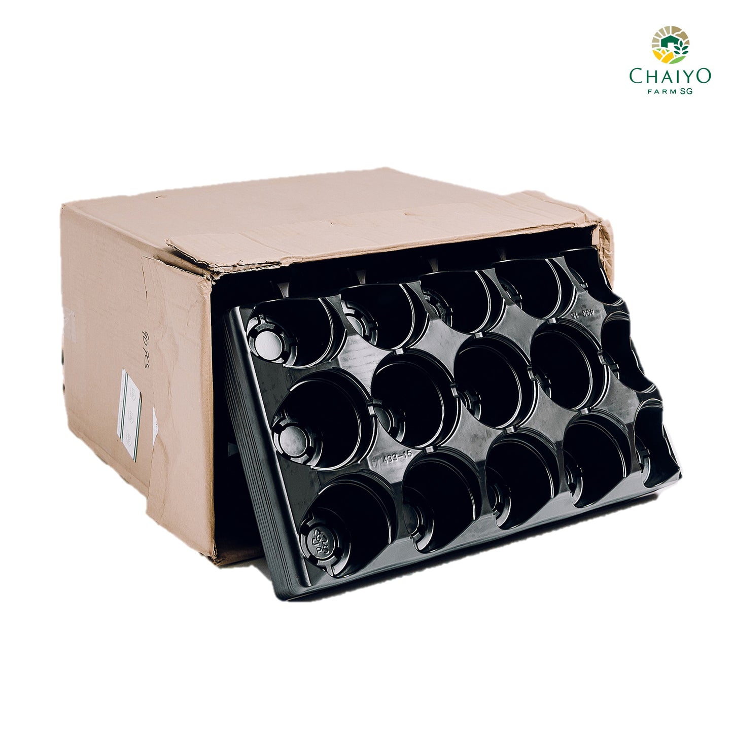 Pot tray for pot (10cm )15 holes