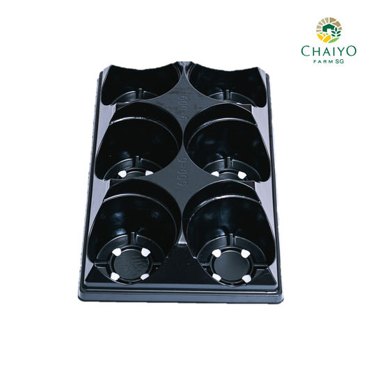 Pot tray for pot (15 cm) 6 holes