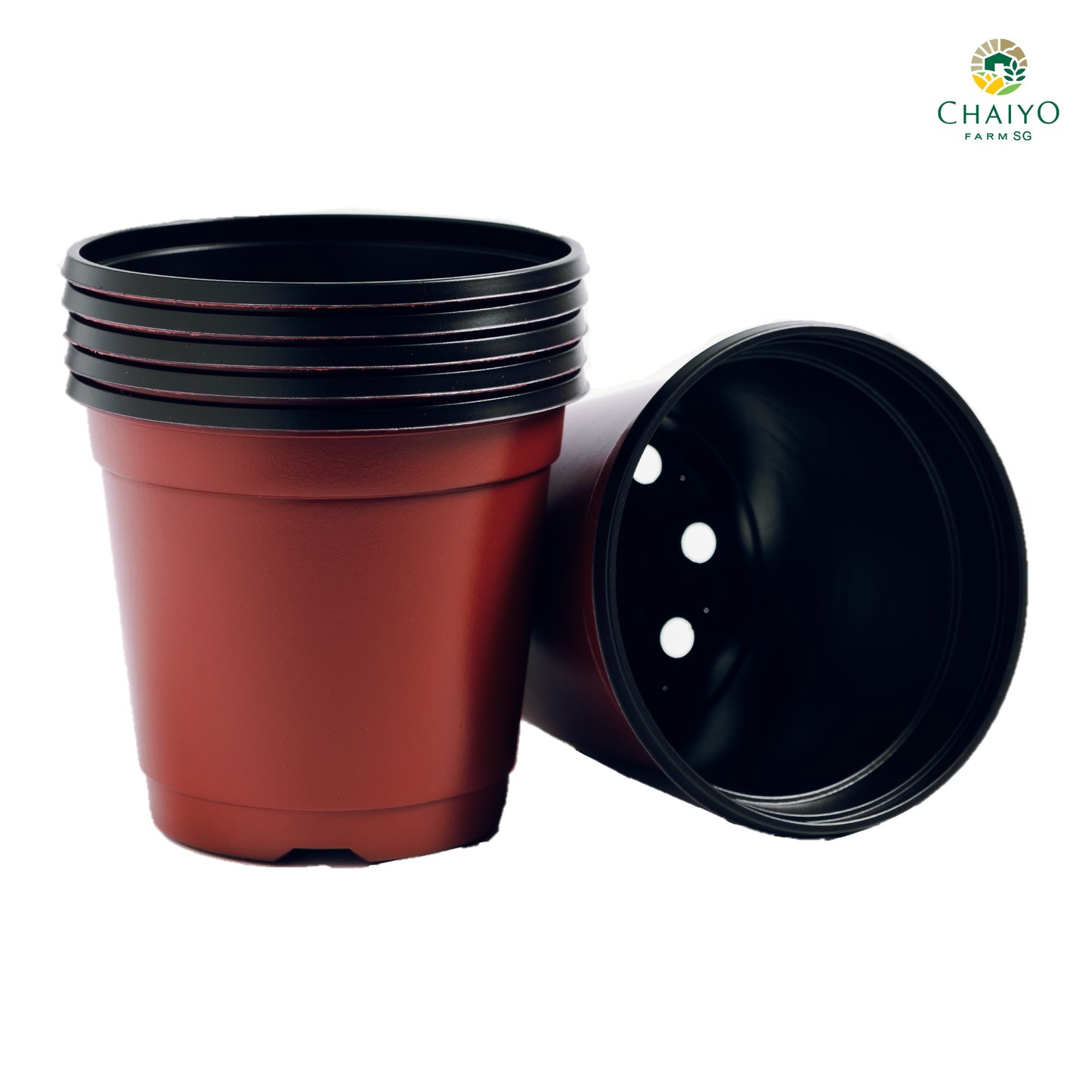 Plastic pot 15 cm 6 pcs/pack (Brown, White)