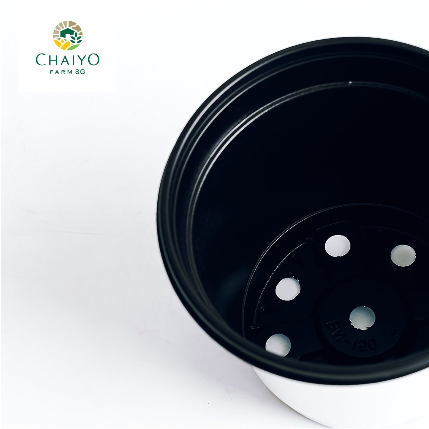 Plastic pot 15 cm 6 pcs/pack (Brown, White)