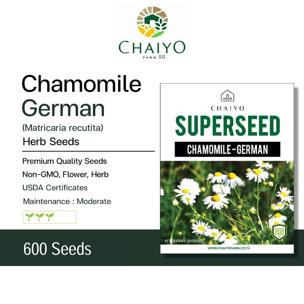 German Chamomile (Matricaria recutita) Herb Seeds, 600 Seeds