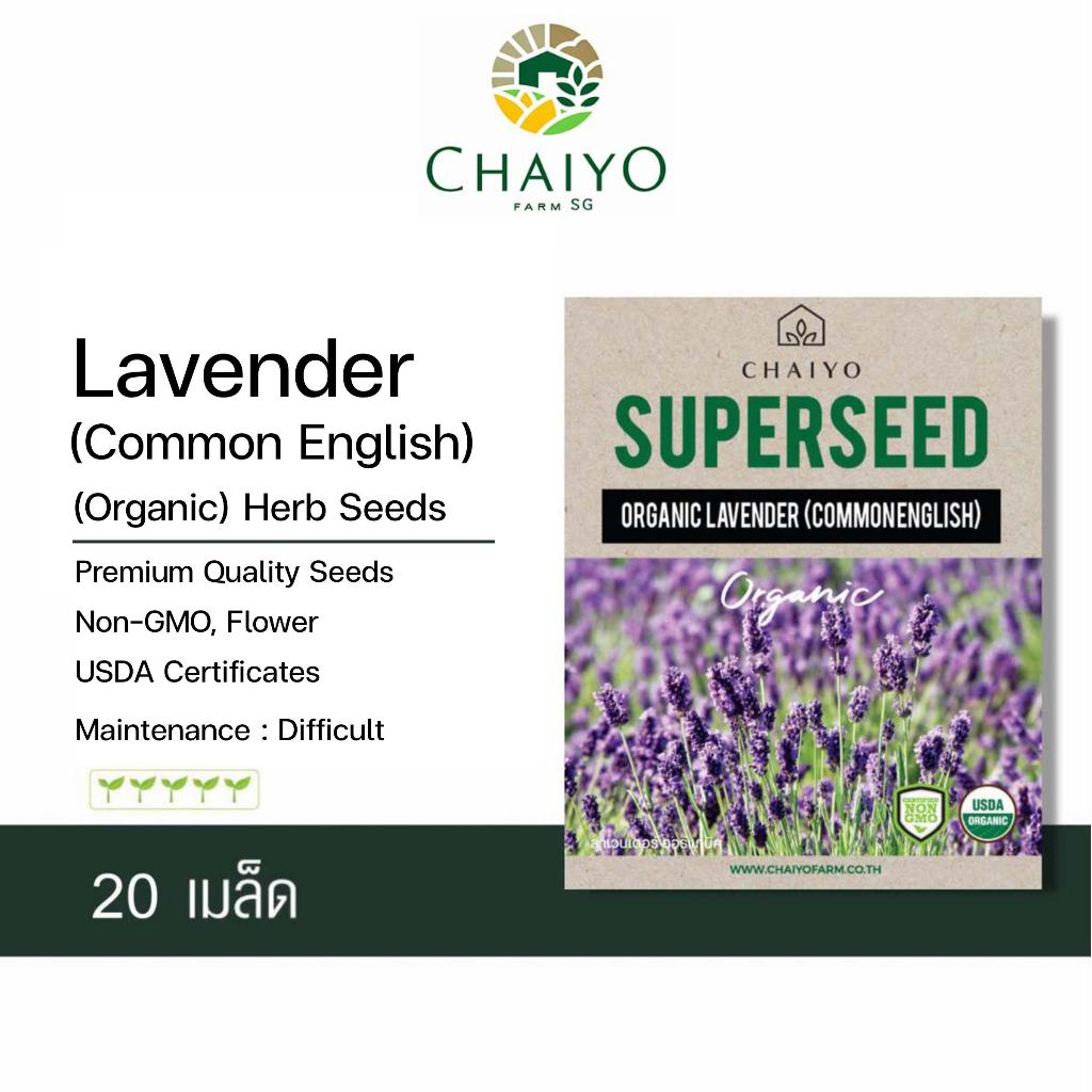 Lavender Common English (Organic), 20 seeds
