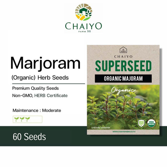 Marjoram (Organic) herb seed, 60 seeds