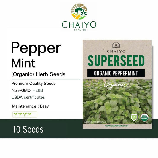Peppermint (Organic) Herb seed, 10 seeds