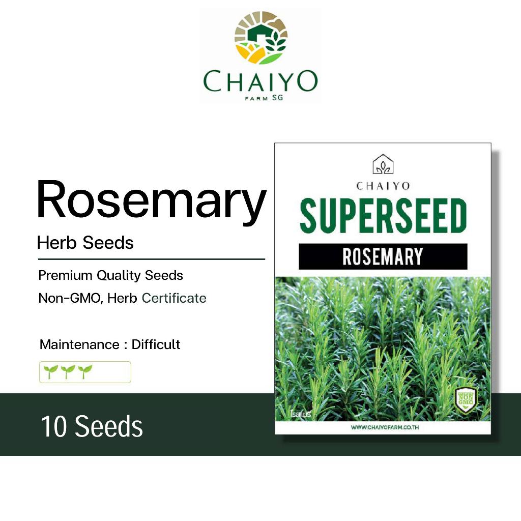 Rosemary Herb Seeds 10 Seeds