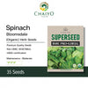 Spinach - Bloomsdale (Organic) Seeds, 35 Seeds