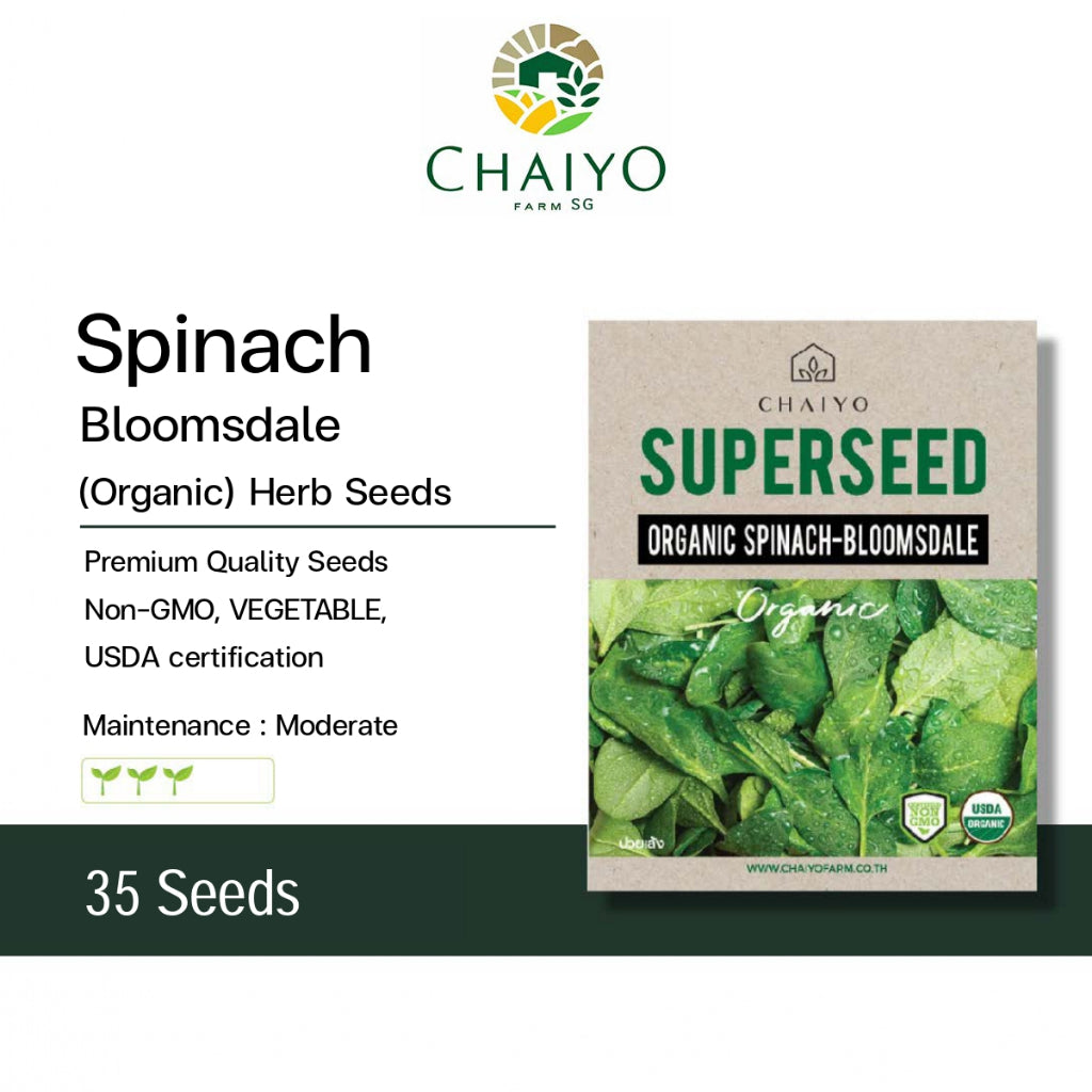 Spinach - Bloomsdale (Organic) Seeds, 35 Seeds