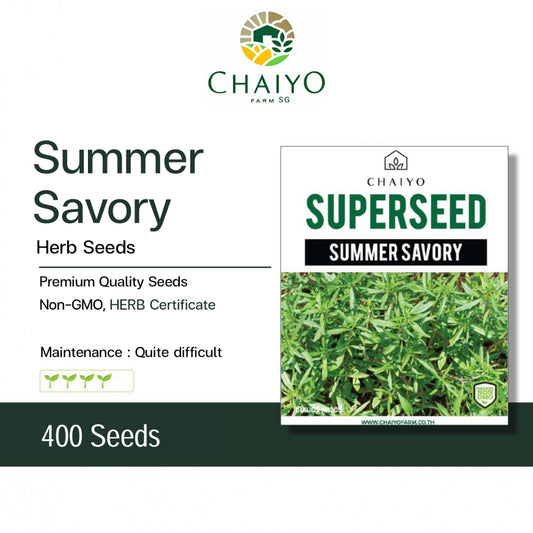 Summer Savory Herb Seeds, 400 Seeds