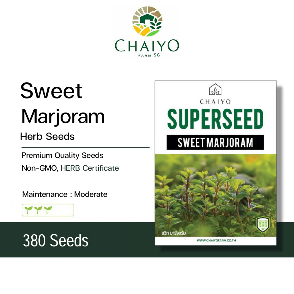 Sweet Marjoram Herb Seeds, 380 Seeds