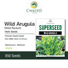 Wild Arugula (Wild Rocket) Herb Seeds, 850 Seeds