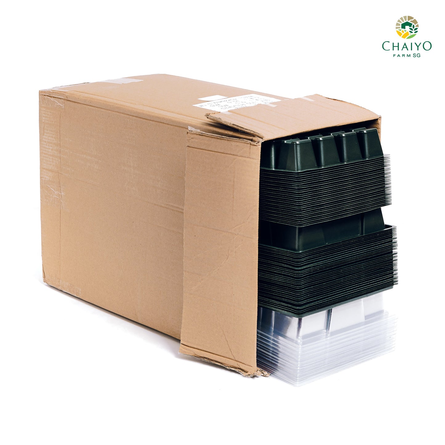 Seeding tray with cover 12, 24 holes (Green, Green)