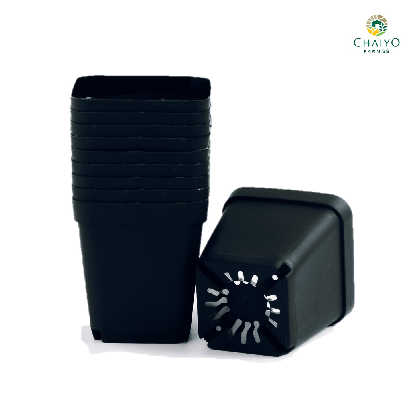 Cactus pot 6.75 cm 10 pcs/pack (Black/White/Green)