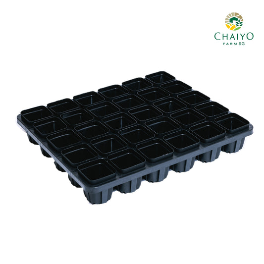 Pot tray for pot (6.75cm) 30 holes