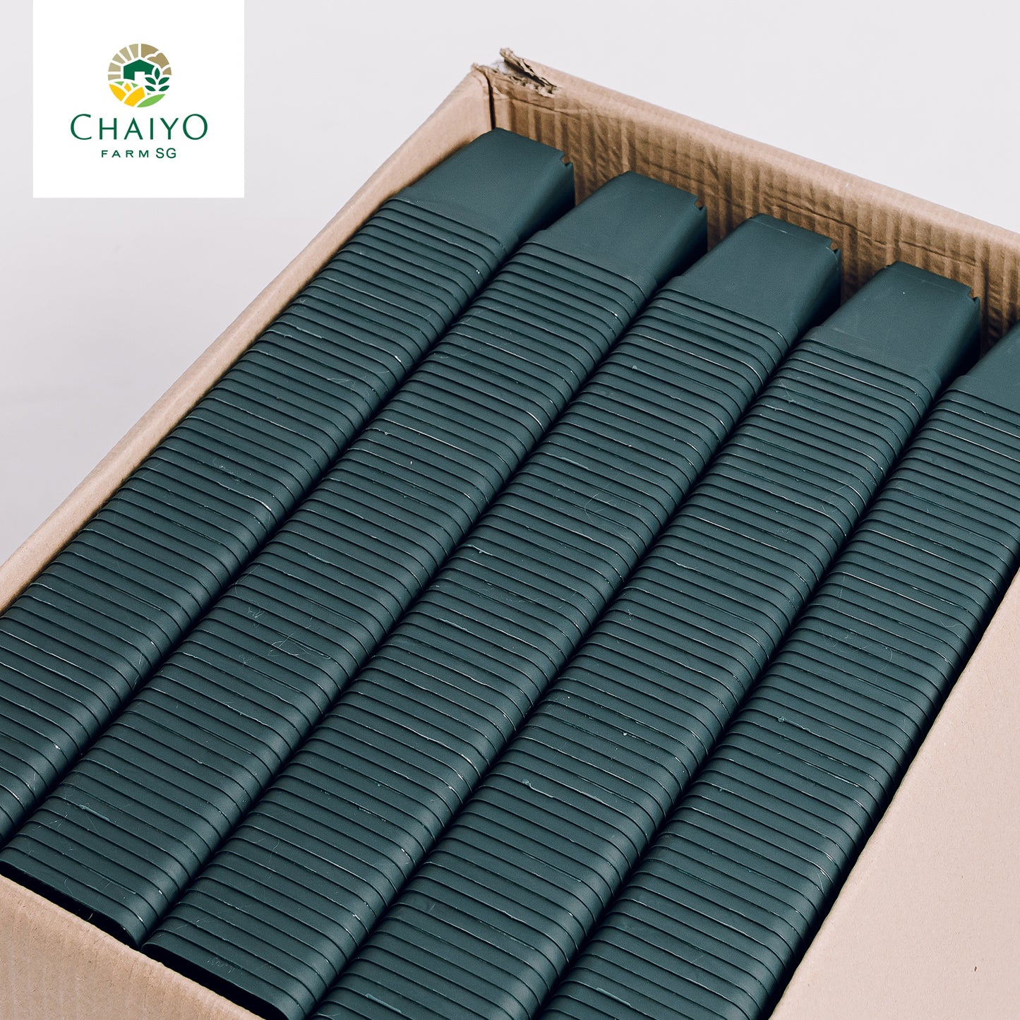 Cactus pot 6.75 cm 10 pcs/pack (Black/White/Green)