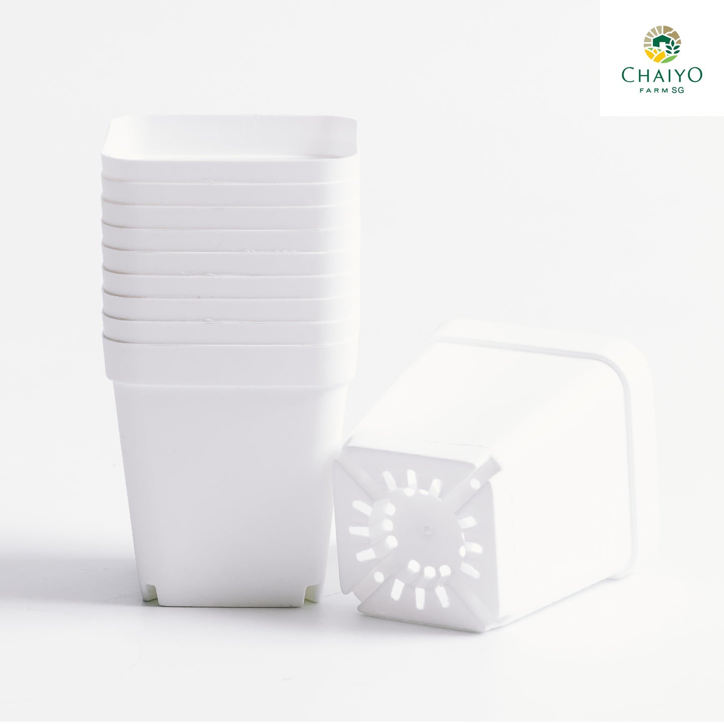 Cactus pot 6.75 cm 10 pcs/pack (Black/White/Green)