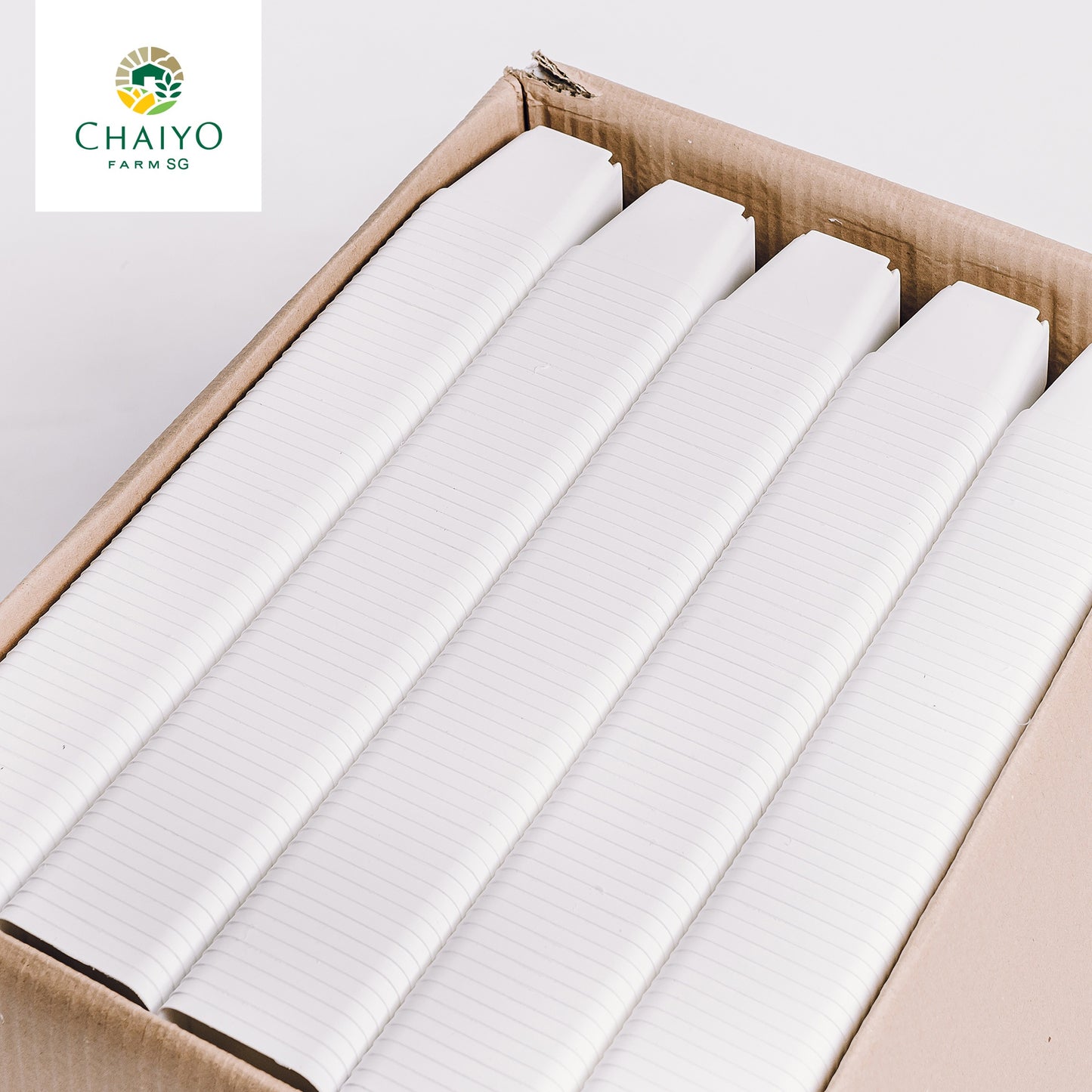 Cactus pot 6.75 cm 10 pcs/pack (Black/White/Green)