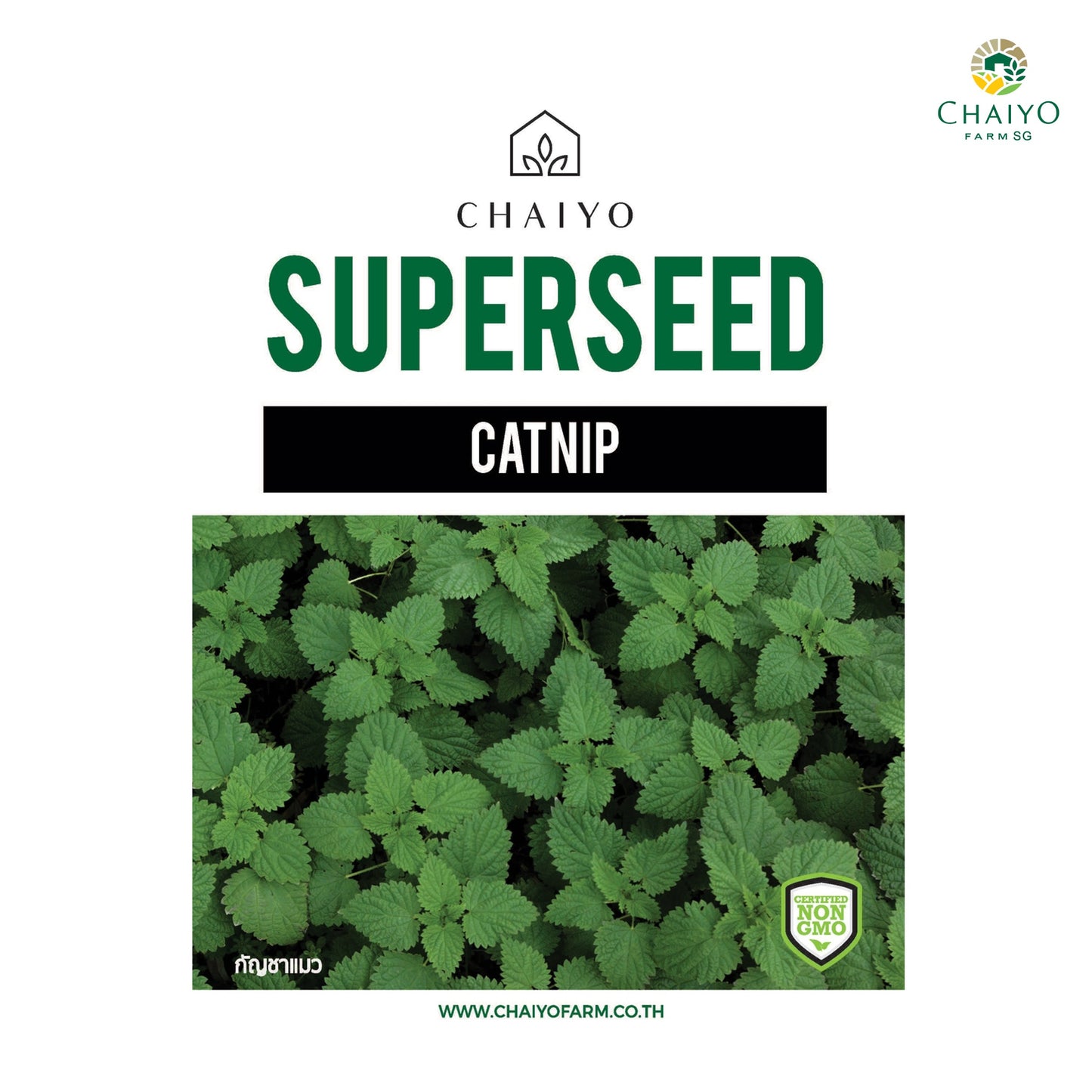 Catnip Herb Seeds, 550 Seeds