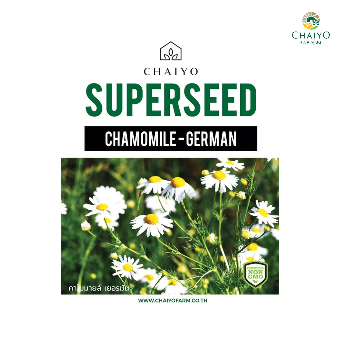 German Chamomile (Matricaria recutita) Herb Seeds, 600 Seeds