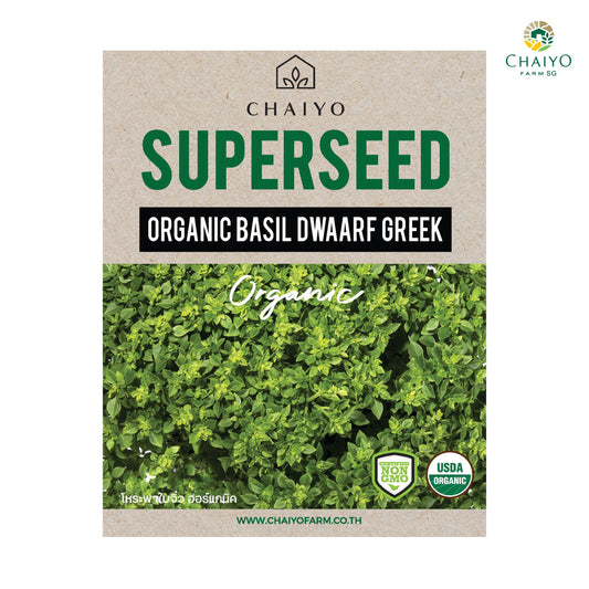 Basil Dwarf Greek (Organic) Herb seed, 40 seeds