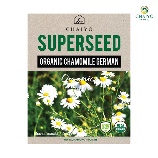 Chamomile German (Organic) herb seed, 350 seeds