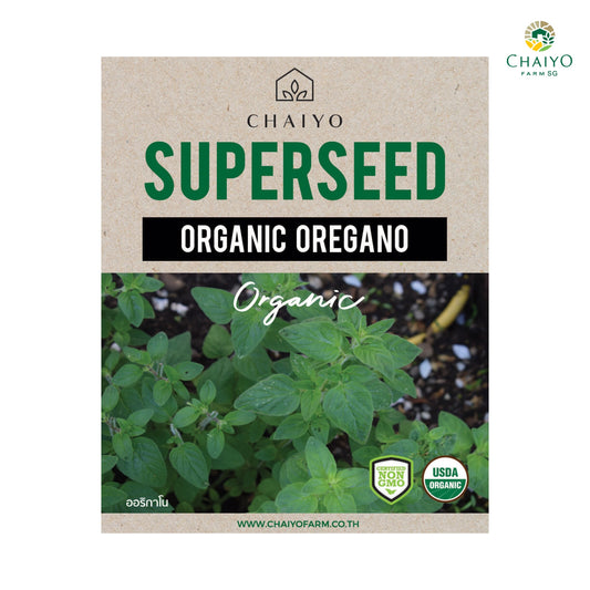 Oregano (Organic) Herb Seeds, 380 Seeds
