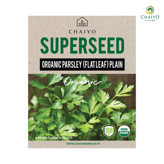 PARSLEY (Flat Leaf) Plain compact (Organic) 140 Seeds