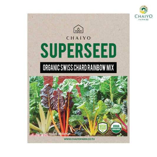 Swiss Chard Rainbow mix (Organic), 20 seeds