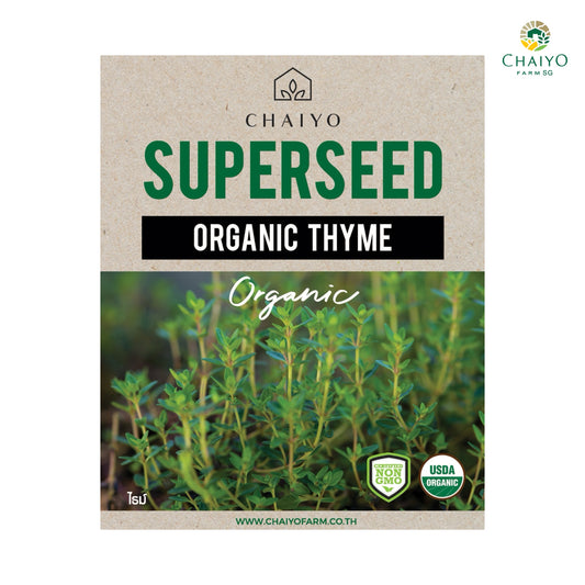 Thyme (Organic) Herb Seeds, 270 Seeds