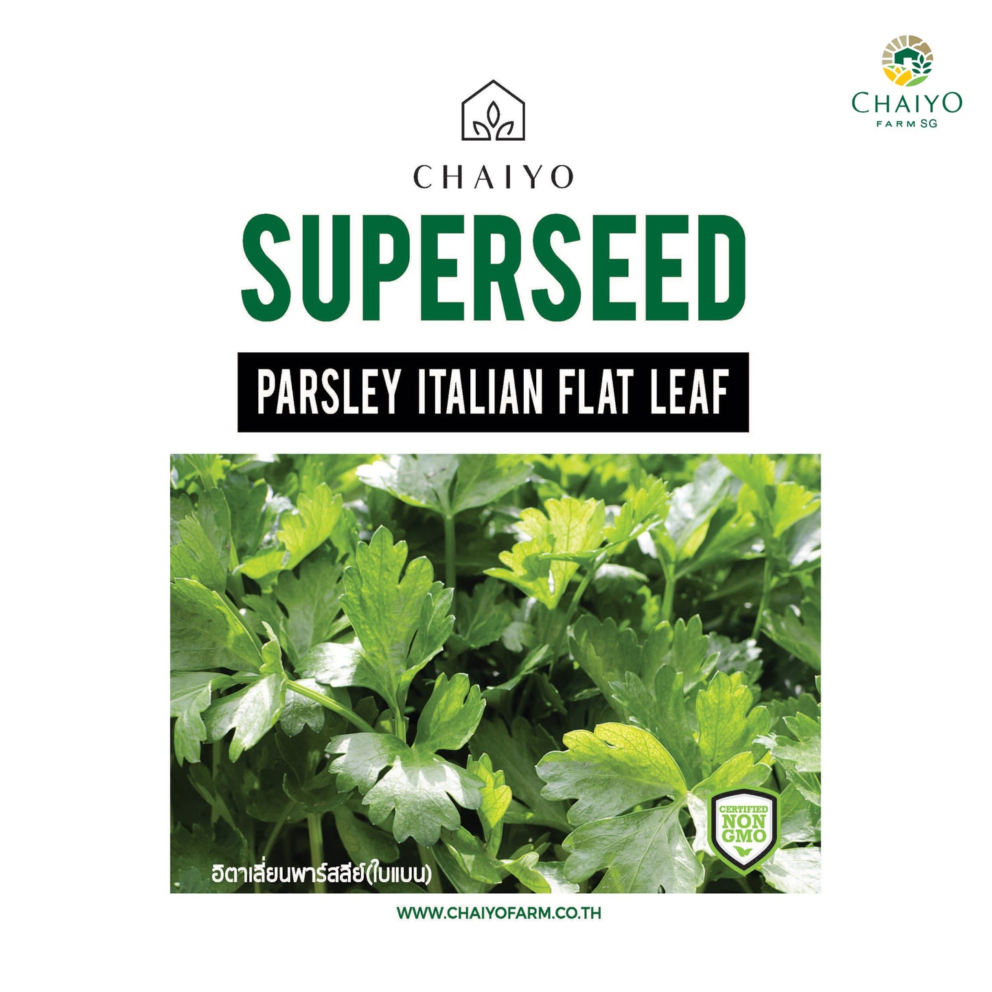 Parsley (Italian Flat Leaf) Herb Seeds, 140 Seeds