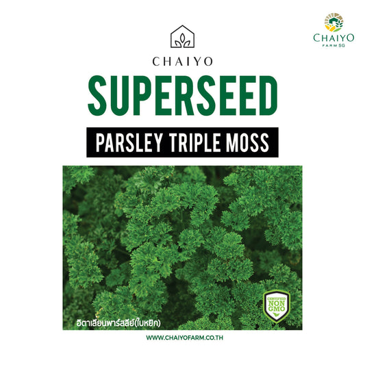 Pasley (Triple Moss) Herb Seeds, 700 Seeds
