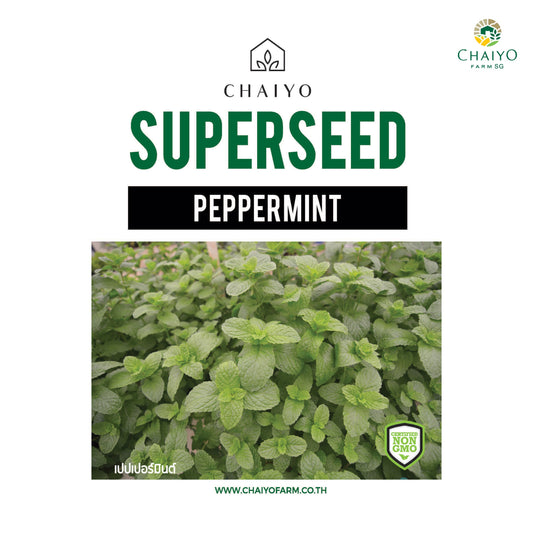 Pepper Mint Herb Seeds, 40 Seeds
