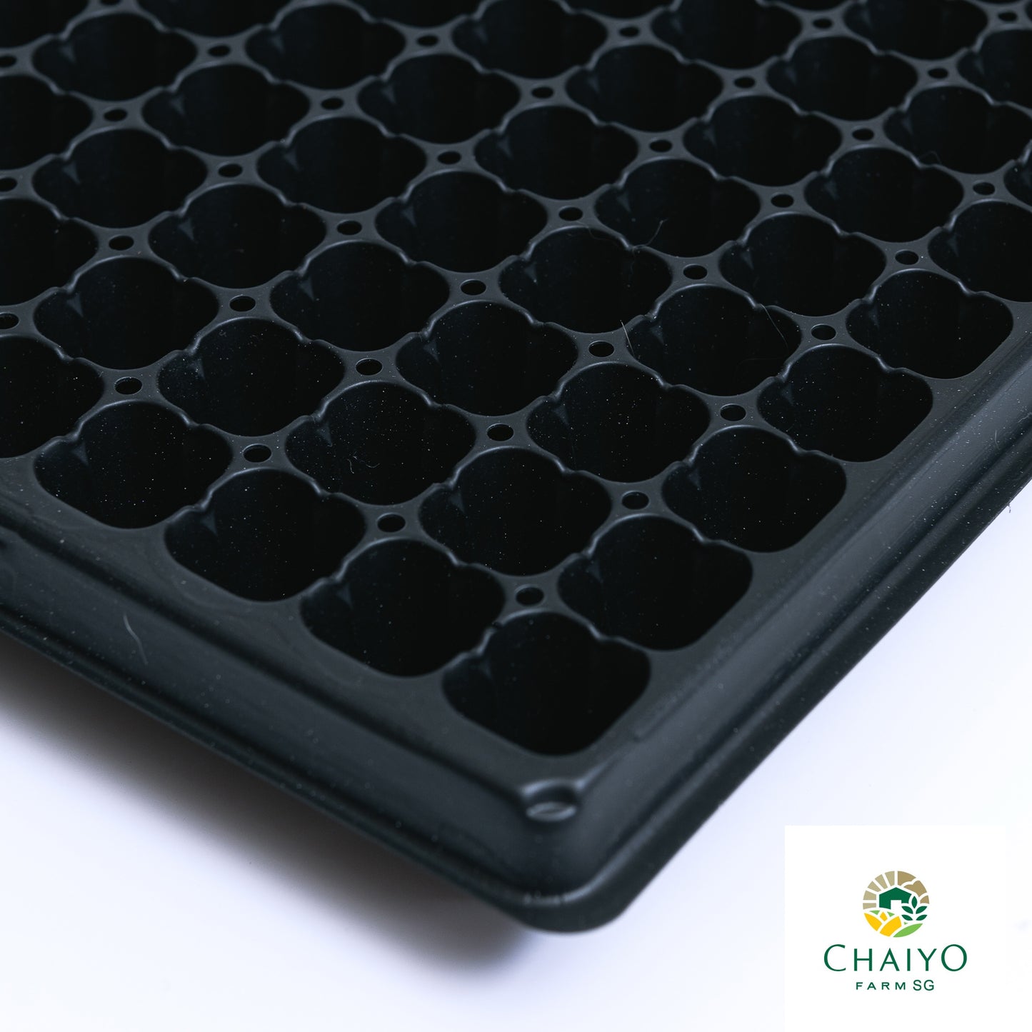Seeding tray (Black) 50, 105, 200 holes