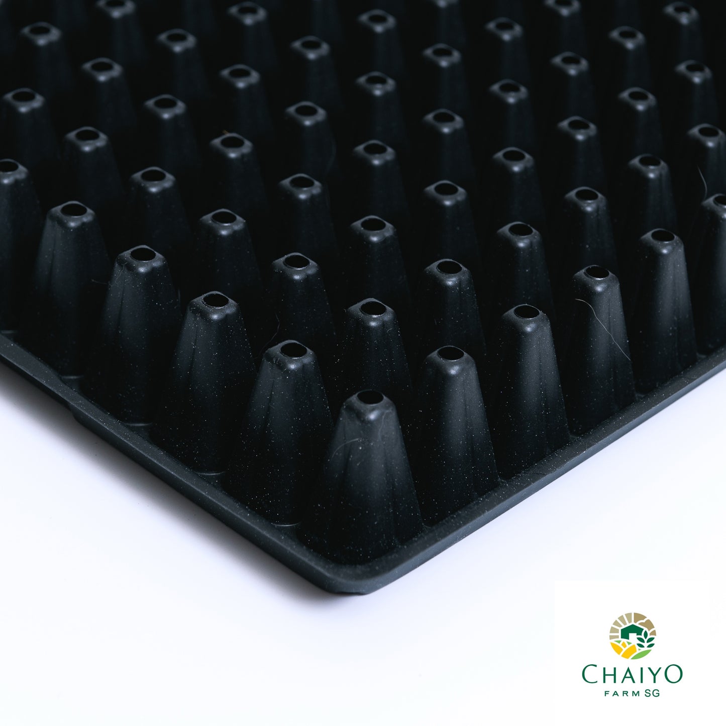Seeding tray (Black) 50, 105, 200 holes