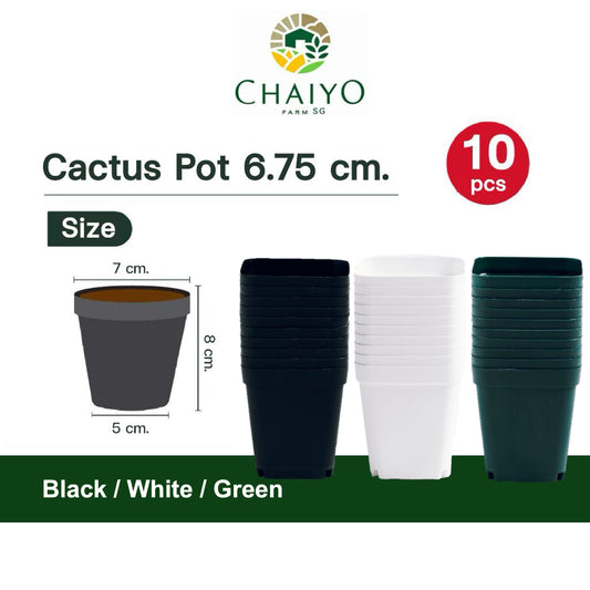 Cactus pot 6.75 cm 10 pcs/pack (Black/White/Green)