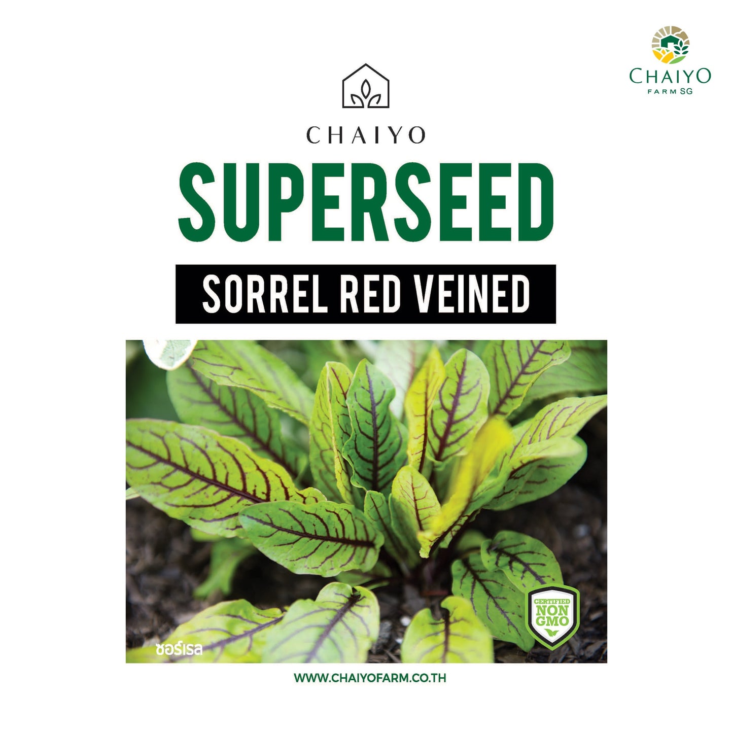 Sorrel (Red Veined) Herb Seeds, 130 Seeds