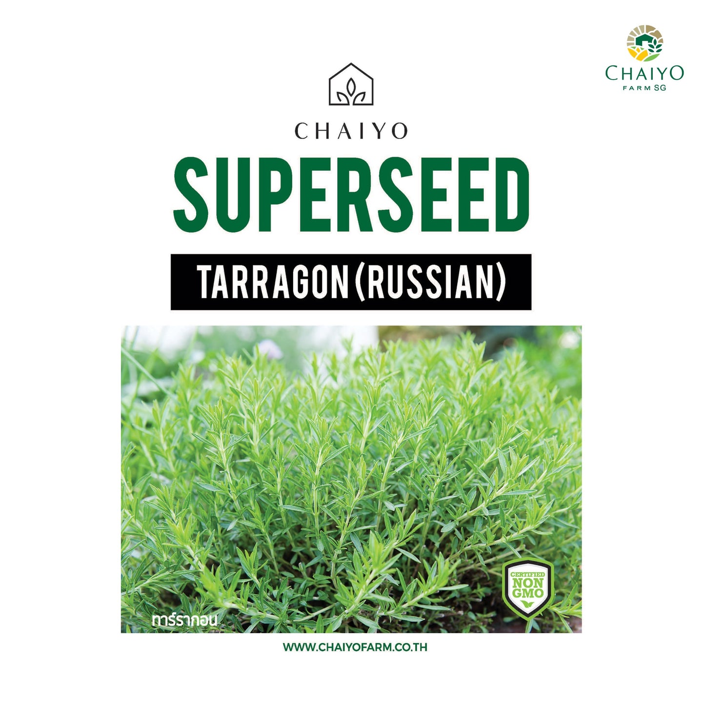 Tarragon (Russian) Herb Seeds, 320 Seeds