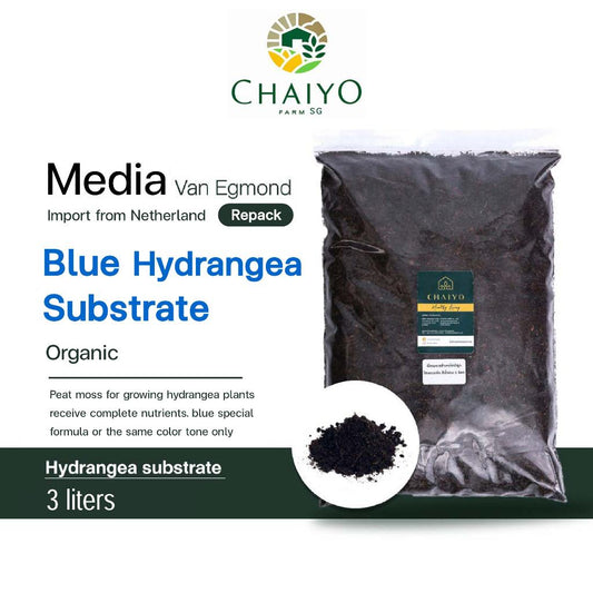 Blue Hydrangea substrate 3L (Repack) Van Egmond, Peat moss