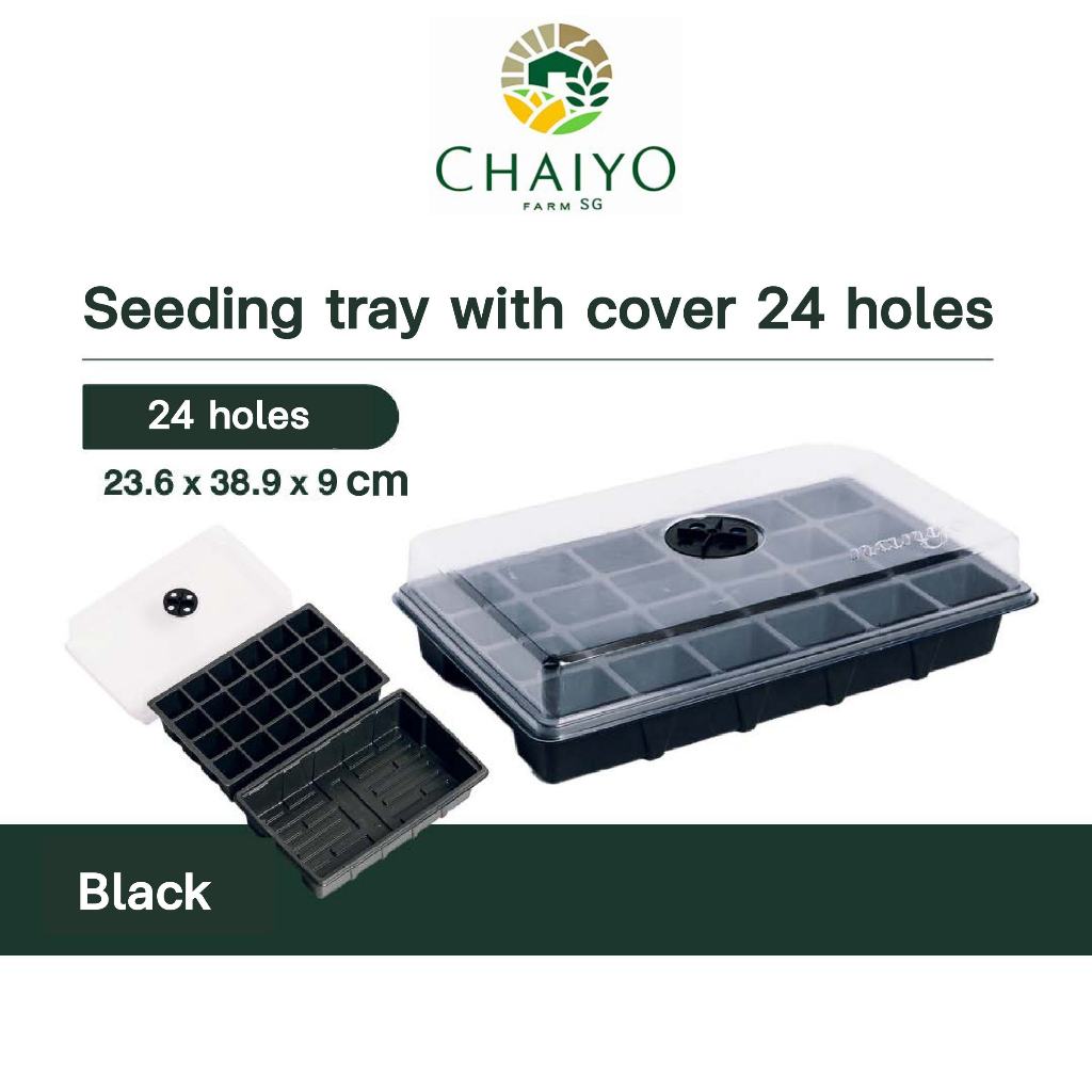 Seeding tray with cover 12, 24 holes (Green, Green)