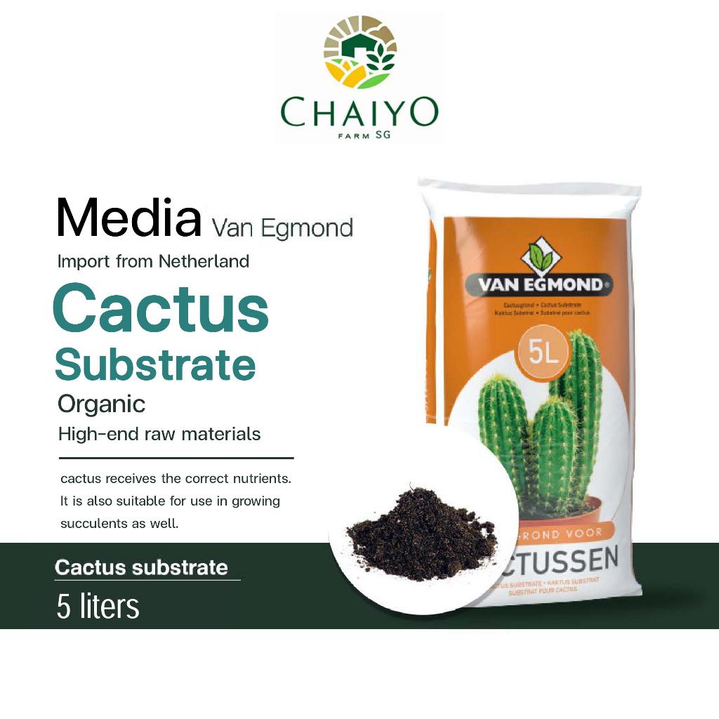 Cactus Substrate 5 L Van Egmond, Peat moss