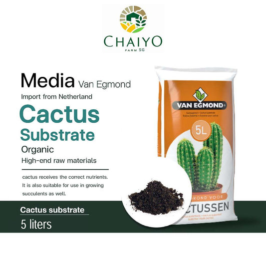 Cactus Substrate 5 L Van Egmond, Peat moss