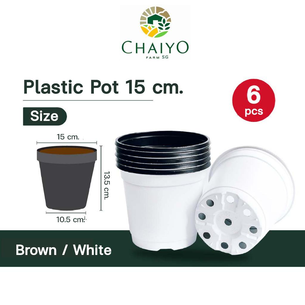 Plastic pot 15 cm 6 pcs/pack (Brown, White)