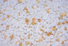 What is the Difference Between Perlite and Vermiculite, and Why Should They Be Used Together?
